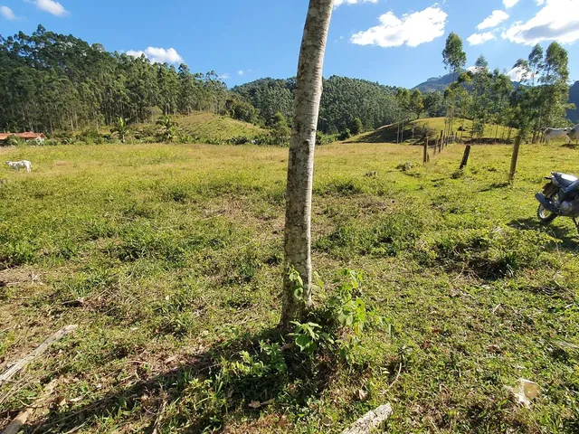 Imagem 5: Terreno Rural Tijucas com Riacho nos Fundos