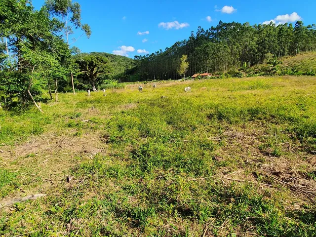 Imagem 9: Terreno Rural Tijucas com Riacho nos Fundos