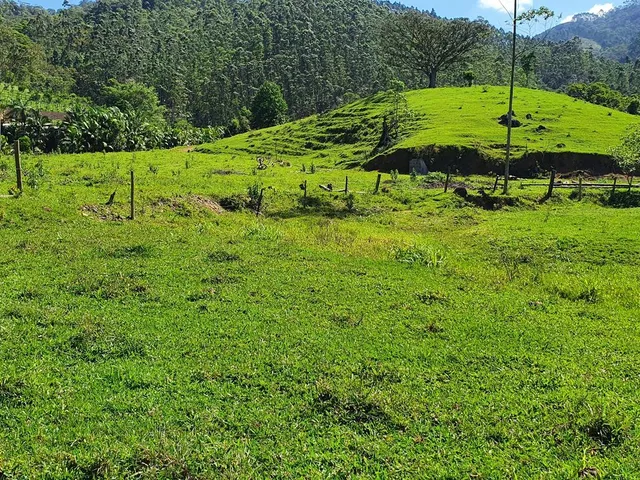 Imagem 8: Terreno Rural Tijucas com Riacho nos Fundos