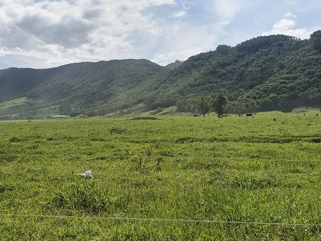 Imagem: Terreno com Pastagem, Rio, e Nascente a