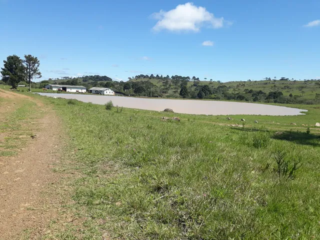Imagem: Sítio a Venda em São Joaquim com Potencial