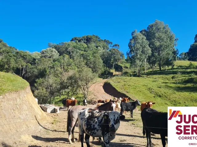 Imagem 6: Terrenos a Venda na Serra Catarinense em Rio Rufino Próximo a Urubici