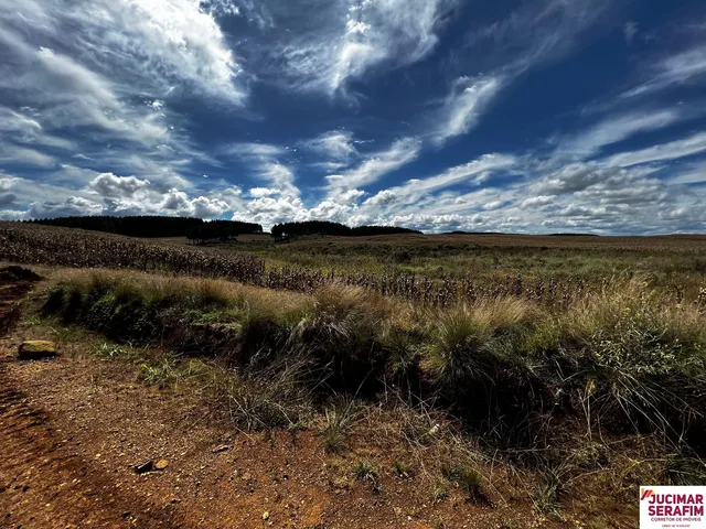 Imagem 7: Fazenda a Venda na Coxilha Rica Lages Serra Catarinense