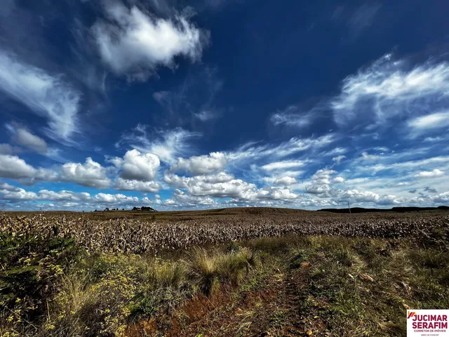 Imagem 3: Fazenda a Venda na Coxilha Rica Lages Serra Catarinense