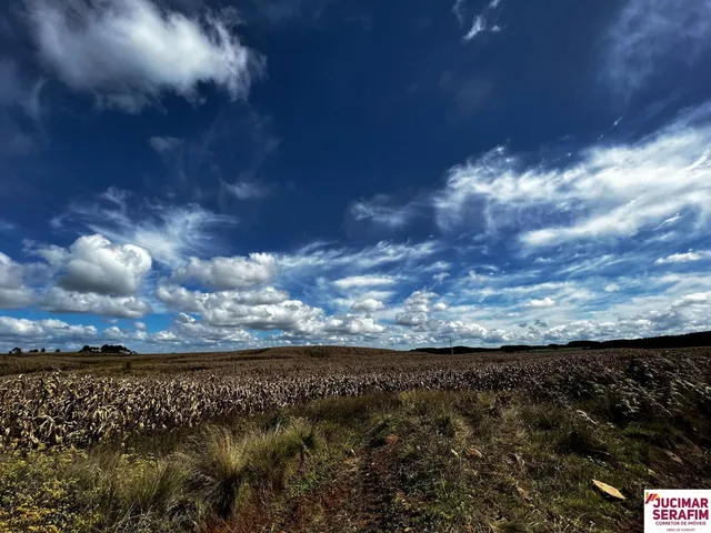 Imagem 2: Fazenda a Venda na Coxilha Rica Lages Serra Catarinense