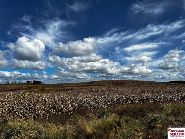 Imagem 6: Fazenda a Venda na Coxilha Rica Lages Serra Catarinense