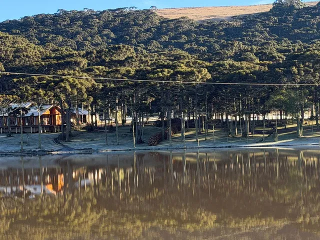 Imagem: Sítio Alto Padrão À Venda Próximo a