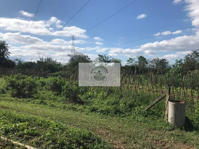 Imagem 5: Area de 148.322,68 M2, Casa com 4 Dormitorios, Galpão, Rancho, Riacho e Lagos, Analisa Permuta