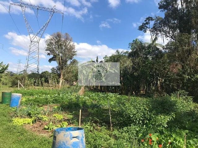 Imagem 7: Area de 148.322,68 M2, Casa com 4 Dormitorios, Galpão, Rancho, Riacho e Lagos, Analisa Permuta