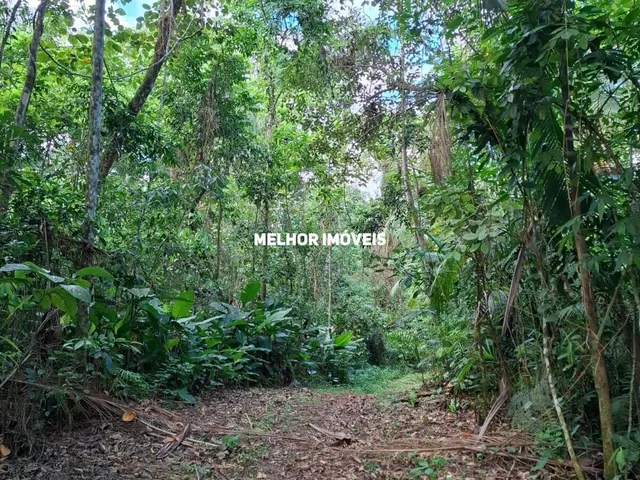 Imagem 2: Sítio Á Venda em Massaranduba - santa Catarina