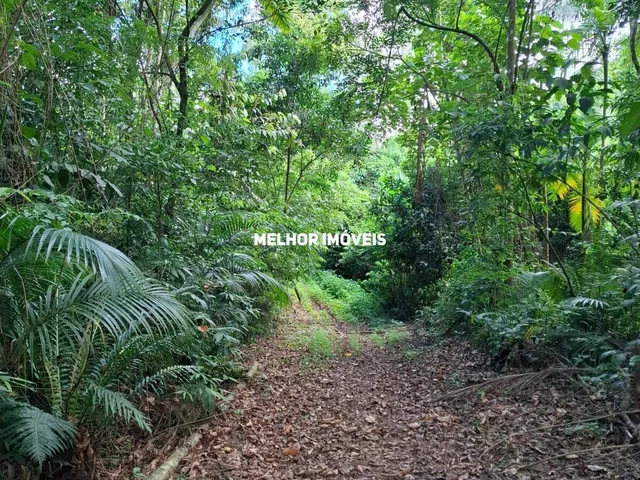 Imagem 6: Sítio Á Venda em Massaranduba - santa Catarina