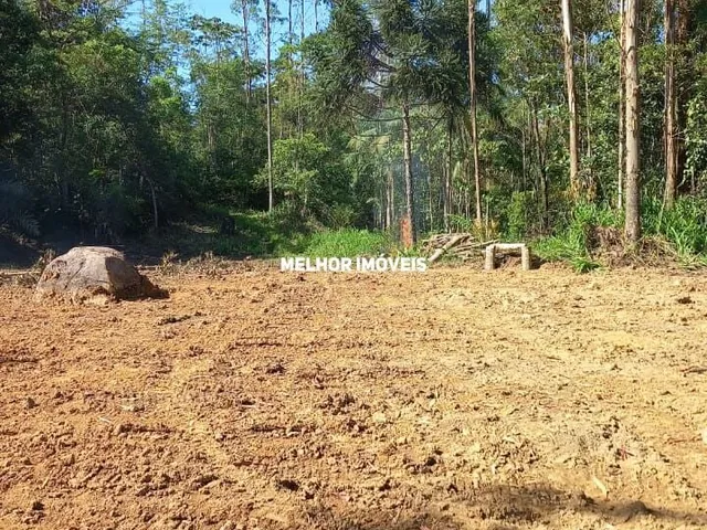 Imagem 3: Sítio Á Venda em Massaranduba - santa Catarina