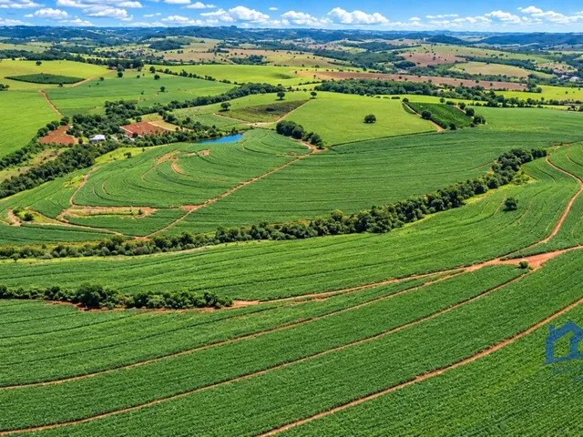 Imagem: Sitio/Fazenda À Venda, 445,85 Alqueires