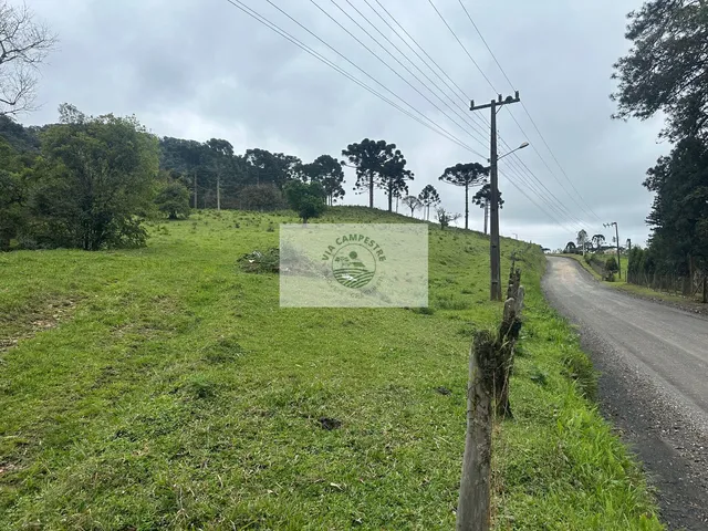 Imagem 10: Area de 121.495 M2, Escriturada, Apenas 3,5 Km da Sc-418, Poucos Metros do Asfalto