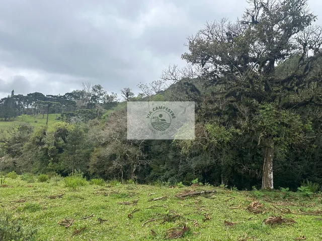 Imagem 14: Area de 121.495 M2, Escriturada, Apenas 3,5 Km da Sc-418, Poucos Metros do Asfalto