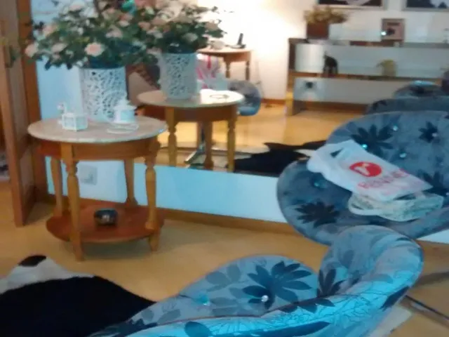 Imagem 9: Apartamento Residencial em Porto Alegre - Rio Grande do Sul, Tristeza