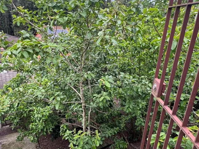 Imagem 6: 0 Terreno / lote com venda por R$450.000