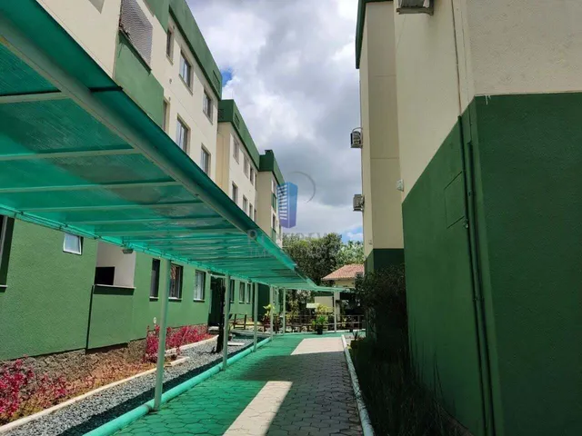 Imagem 7: Apartamento À Venda no Bairro Espinheiros - Itajaí/Sc