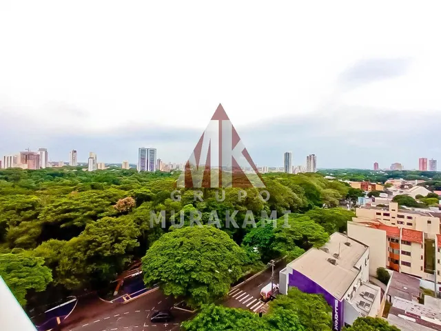 Imagem 10: Engenheiro Antônio Schwabe - Zona 01