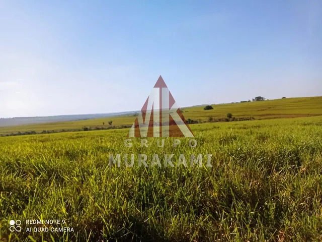 Imagem 2: Fazenda - Umuarama - Paraná
