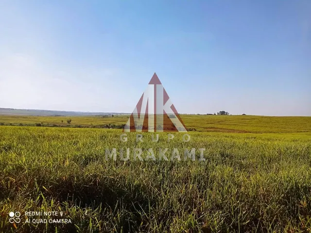 Imagem 5: Fazenda - Umuarama - Paraná
