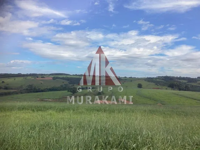 Imagem 6: Fazenda - Umuarama - Paraná