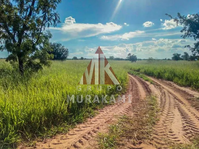 Imagem: Fazenda - Amambaí - Ms