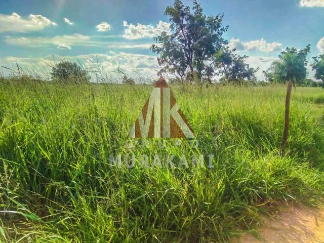 Imagem 5: Fazenda - Amambaí - Ms