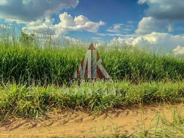 Imagem 2: Fazenda - Amambaí - Ms