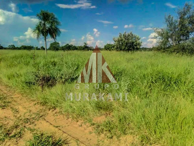 Imagem 3: Fazenda - Amambaí - Ms