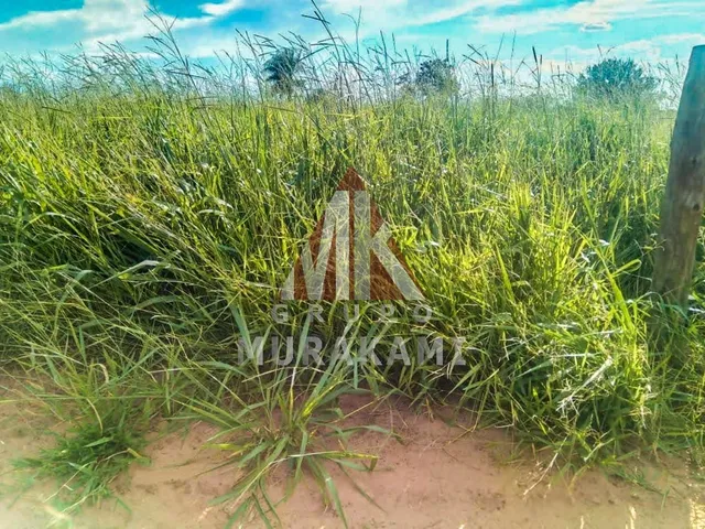 Imagem 4: Fazenda - Amambaí - Ms