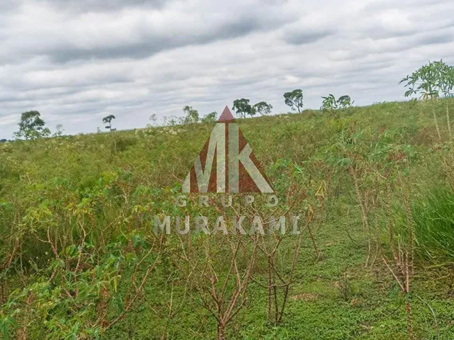 Imagem 2: Fazenda - Navirái - Ms