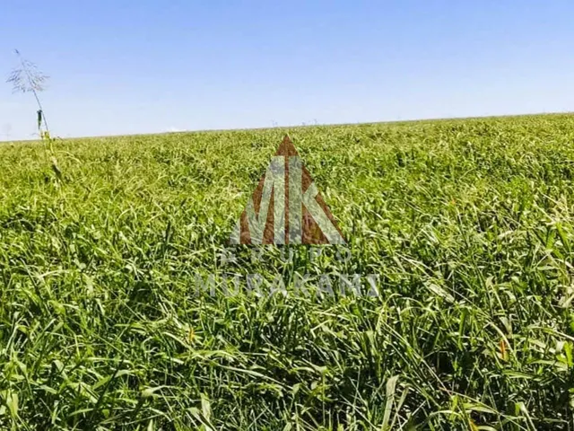 Imagem 4: Fazenda - Navirái - Ms
