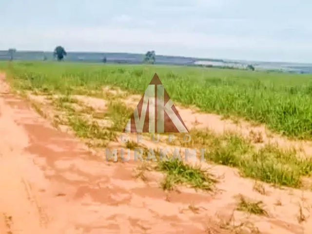 Imagem 3: Fazenda - Navirái - Ms