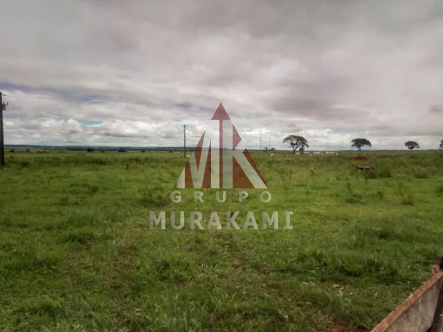 Imagem: Fazenda - Amambaí - Ms