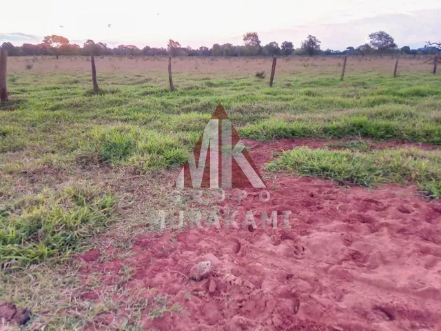 Imagem 5: Fazenda - Amambaí - Ms