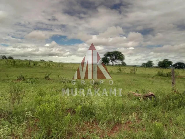 Imagem 7: Fazenda - Amambaí - Ms
