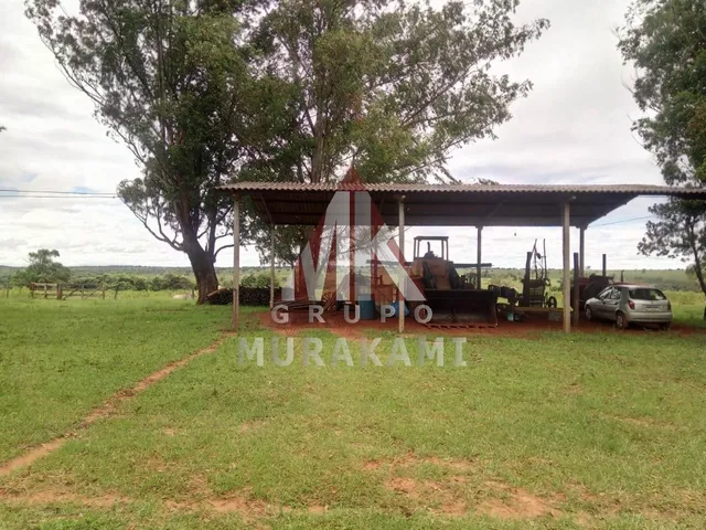 Imagem 2: Fazenda - Amambaí - Ms