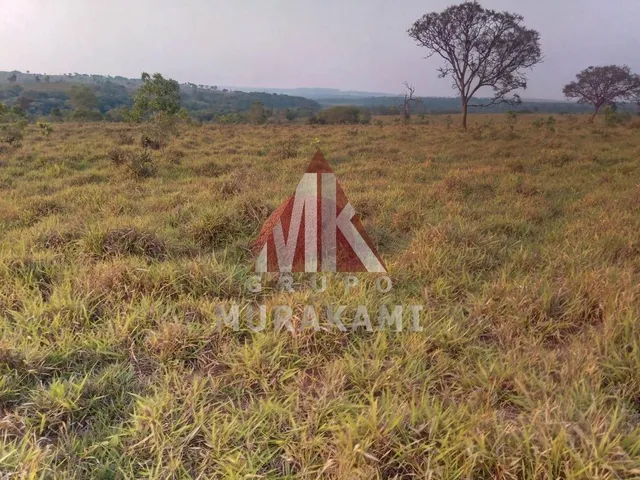 Imagem 10: Fazenda - Amambaí - Ms