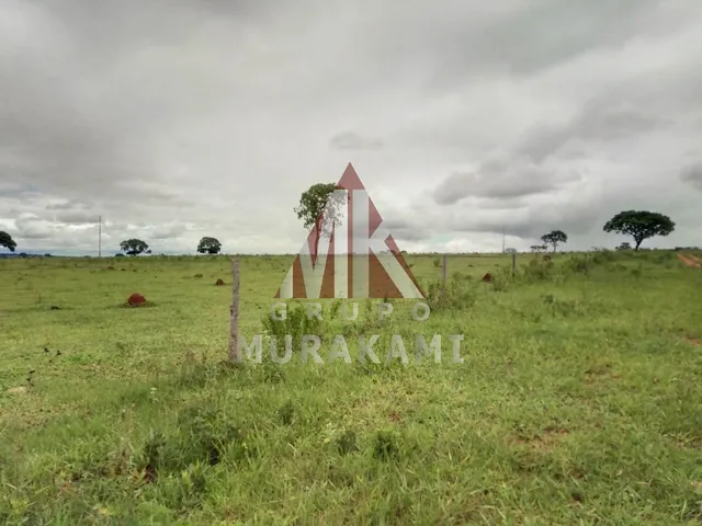 Imagem 4: Fazenda - Amambaí - Ms