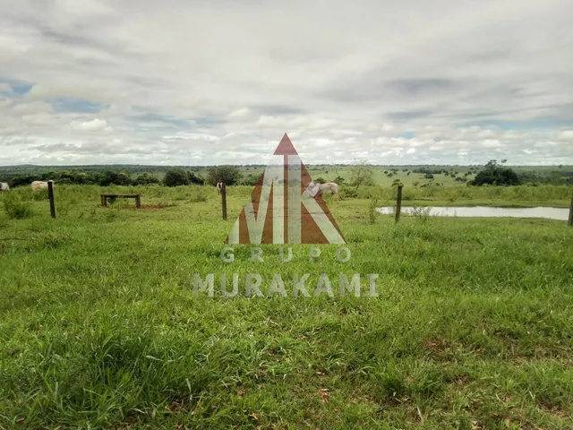 Imagem 9: Fazenda - Amambaí - Ms
