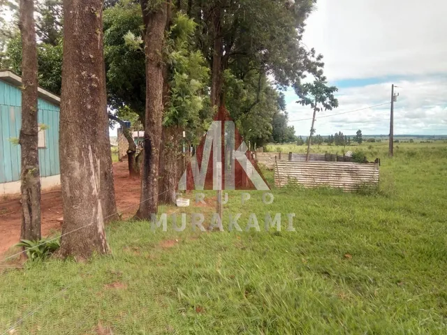 Imagem 6: Fazenda - Amambaí - Ms