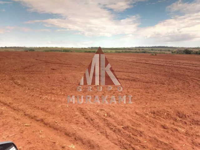 Imagem 8: Fazenda - Amambaí - Ms