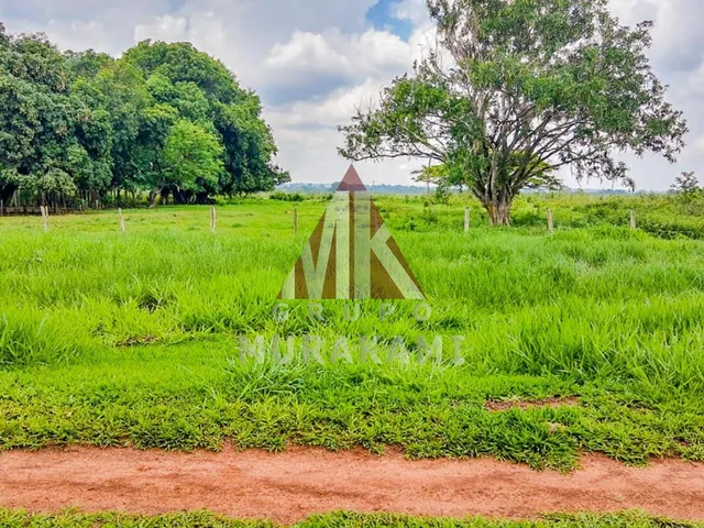 Imagem 2: Fazenda - Rochedo - Ms
