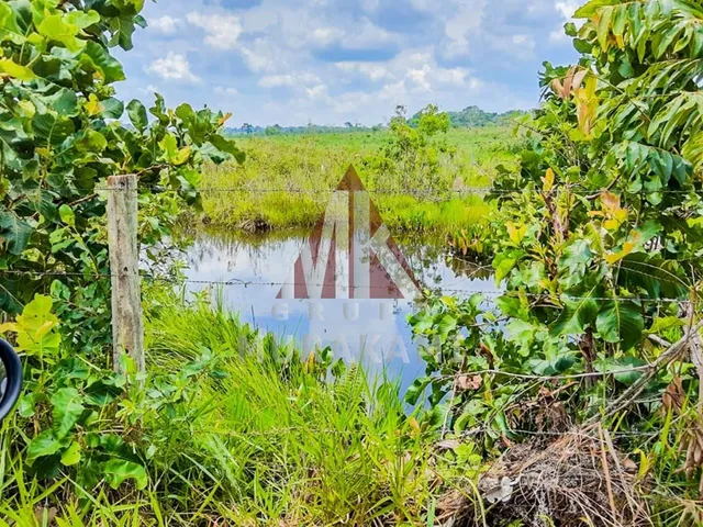 Imagem 4: Fazenda - Rochedo - Ms