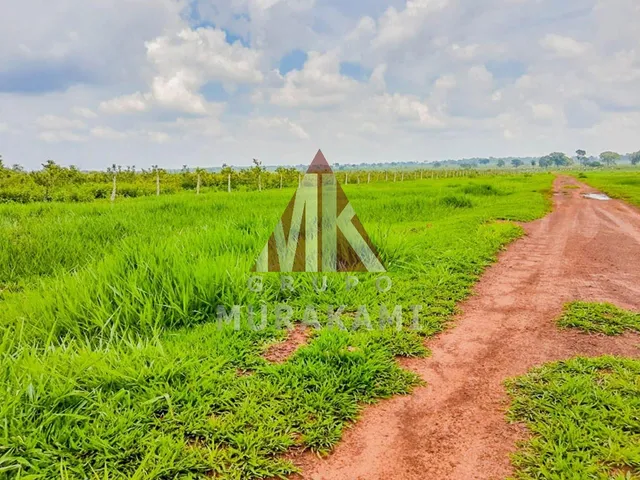 Imagem 7: Fazenda - Rochedo - Ms