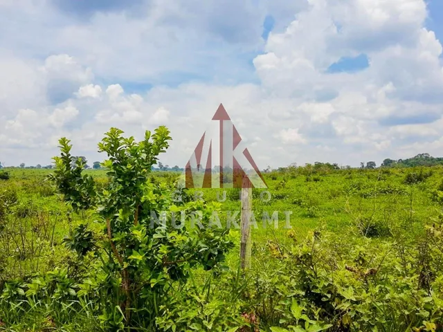 Imagem 3: Fazenda - Rochedo - Ms