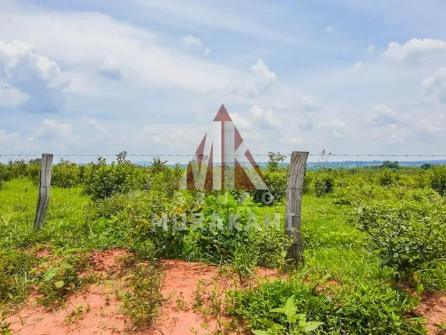 Imagem 8: Fazenda - Rochedo - Ms