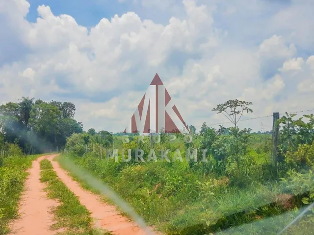 Imagem 6: Fazenda - Rochedo - Ms