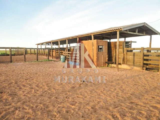 Imagem 4: Fazenda - Camapuã - Ms